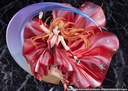 Sword Art Online Asuna -Crystal Dress Ver.-