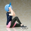 Re:Zero -Starting Life in Another World- -Relax time-REM Training style ver.