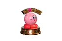 We Love Kirby