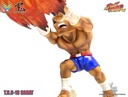 Street Fighter T.N.C.-10 Sagat