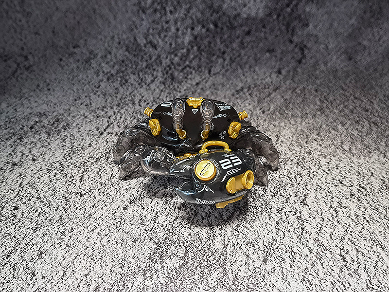 AQUACULTURE TANK 007: Fiddler Crab (Gold Black)