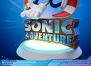 SONIC ADVENTURE - SONIC THE HEDGEHOG  (COLLECTOR'S EDITION)