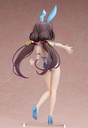 Ai Hinatsuru: Bare Leg Bunny Ver.