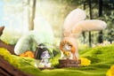 Cup Rabbit - Dreamland Journey