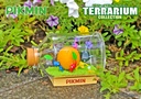 PIKMIN Terrarium Collection