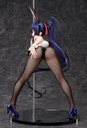 Akeno Himejima: Bunny Ver. 2nd