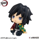 Lookup Demon Slayer: Kimetsu no Yaiba Giyu Tomioka Stupefied face ver.