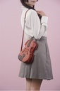 Violin Bag