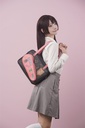 Violin Case Bag