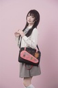 Violin Case Bag
