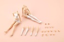Sousai Shojo Teien Dress Up Body M