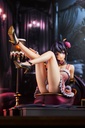 《Fregrant Figure》 High School DxD Akeno Himejima: Light Novel 15th Anniversary ver. KADOKAWA Special Set