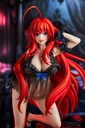 《Fregrant Figure》 High School DxD Rias Gremory: Light Novel 15th Anniversary ver. KADOKAWA Special Set