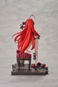 High School DxD Rias Gremory: Light Novel 15th Anniversary ver.