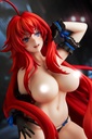 High School DxD Rias Gremory: Light Novel 15th Anniversary ver.