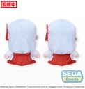 Tying the Knot with an Amagami Sister M Plush "Asahi Amagami"