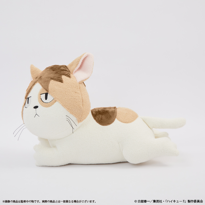 Haikyu!! Cushion Kenma Cat