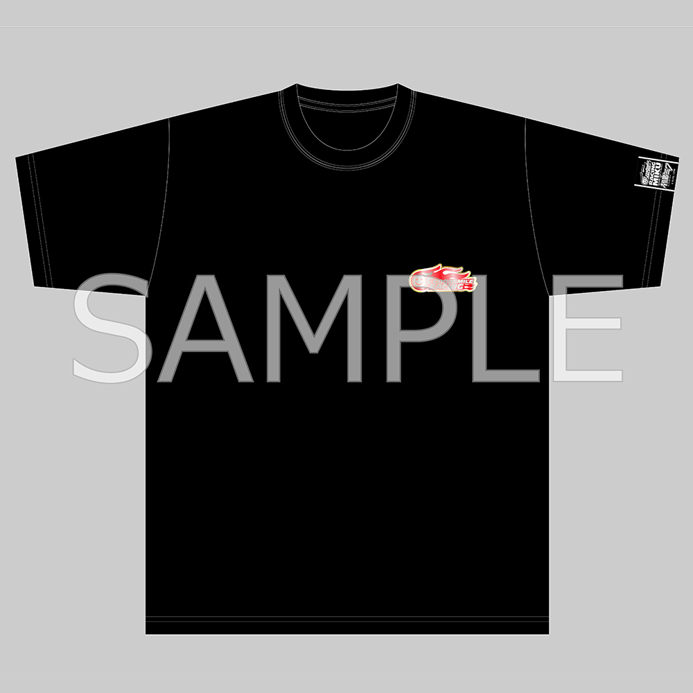 Racing Miku 2024 Ver. Key Visual Side Silhouette & Race Record T-shirt Black (L Size)