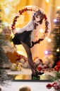 Desktop Girls Series Winter  RINGO Another Color