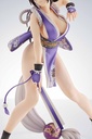 MAI SHIRANUI [REPACKAGE Ver. 2P COLOR]