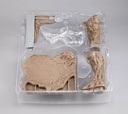 Realistic Model Series Mobile Suit GundamG Structure [GS01] Tragedy in Jaburo (material color edition)