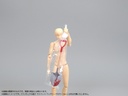 Pripra Figure's Play Suspense -Weathering Color Ver.-