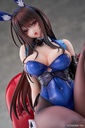 SHY GIRL MINAZUMI KASANE DELUXE EDITION