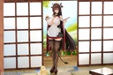 Azur Lane Kashino Tsumazuki Trouble Maid Ver.