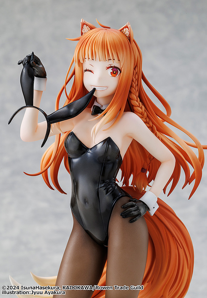 Spice and Wolf: MERCHANT MEETS THE WISE WOLF Holo Light Novel bunny ver. illustration by Jyuu Ayakura