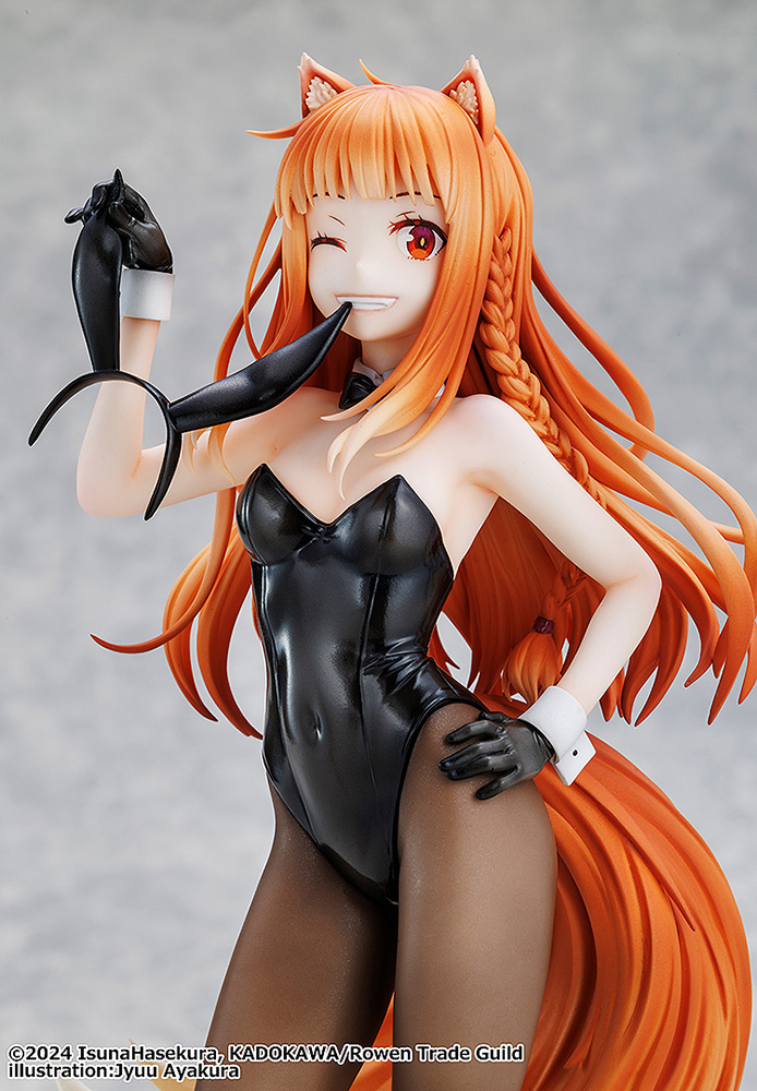 Spice and Wolf: MERCHANT MEETS THE WISE WOLF Holo Light Novel bunny ver. illustration by Jyuu Ayakura