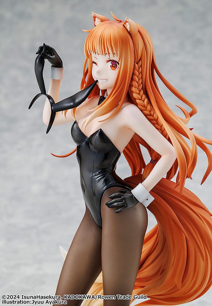 Spice and Wolf: MERCHANT MEETS THE WISE WOLF Holo Light Novel bunny ver. illustration by Jyuu Ayakura