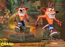Crash Bandicoot™ Classic