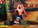 Crash Bandicoot™ Classic