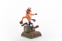 Crash Bandicoot™ Classic