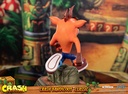 Crash Bandicoot™ Classic