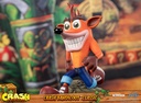 Crash Bandicoot™ Classic