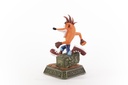 Crash Bandicoot™ Classic