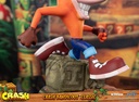 Crash Bandicoot™ Classic