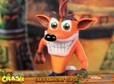 Crash Bandicoot™ Classic