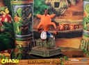 Crash Bandicoot™ Classic
