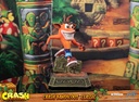 Crash Bandicoot™ Classic
