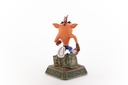 Crash Bandicoot™ Classic