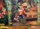 Crash Bandicoot™ Classic