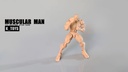 K-TOYS 1/12 SCALE ACTION FIGURE FIGURE MUSCULAR MAN BODY KT01B NORMAL SKIN