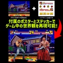 THE KING OF COLLECTORS'24 EX "Fatal Fury Special" Terry Bogard (HG Damage Ver.)