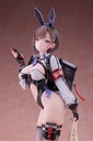 Delivery Bunny Girl Aoi