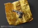 Pripra Figure's Play Suspense 3