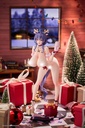Succubus Homestay Sakuma Shiori Christmas Costume Special Ver.
