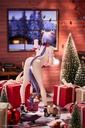 Succubus Homestay Sakuma Shiori Christmas Costume Special Ver.