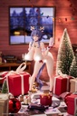 Succubus Homestay Sakuma Shiori Christmas Costume Special Ver. with Bonus Limited Edition